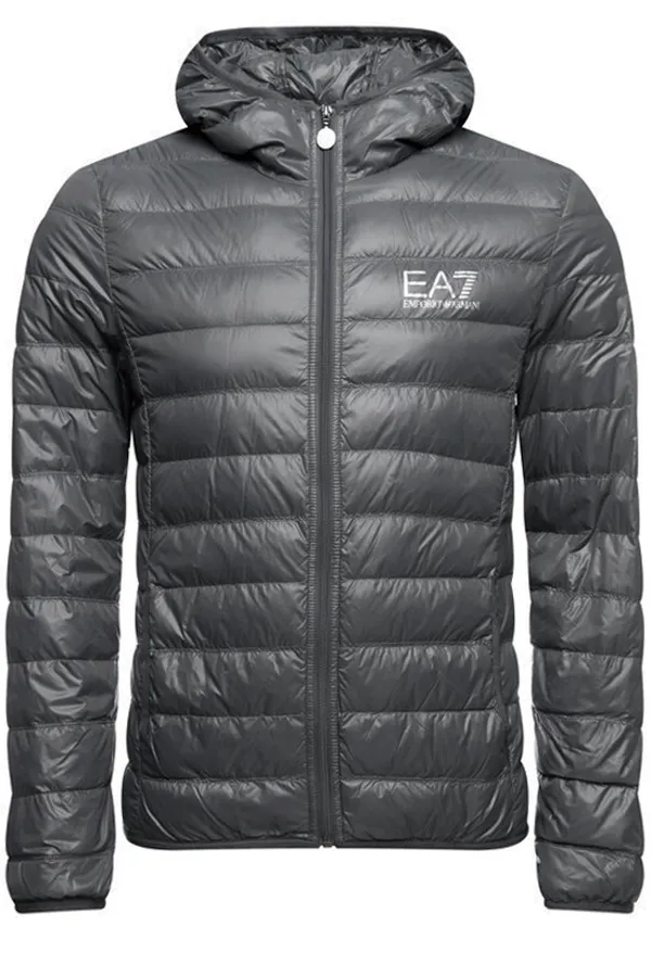 Armani EA7 Padded Light Jacket Grey